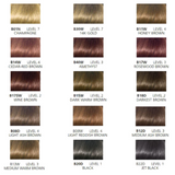 Clairol Beautiful Collection Moisturizing Hair Color, 3 fl oz